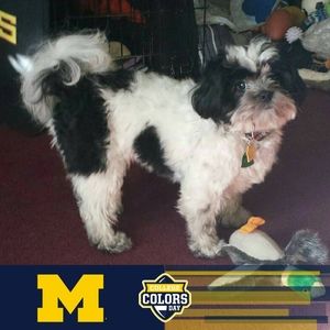 Meet your Posher, Denise